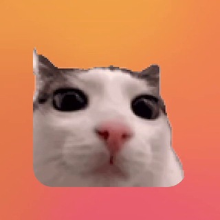 Telegram profile photo for туторы фьюрги