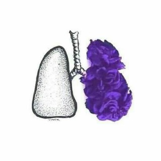 Telegram profile photo for آلـٰ̲ـہس๋͜ـ❀๋͜ـع๋͜ـ❀๋͜ـ ـٰ̲ـہہٰٰآدٰة ❥┊
