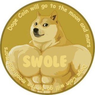 Telegram profile photo for SWOLE DOGE