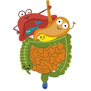 Telegram profile photo for Гармония!🌞🥬🥦От кишечника до мозга!