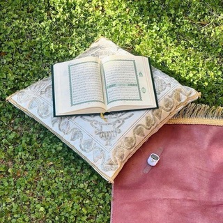Telegram profile photo for لَعَلَّهَا شَافِعَةٌ .