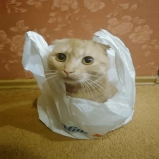Telegram profile photo for Фюзерня