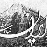 Telegram profile photo for چو ایران نباشد، تن من مباد
