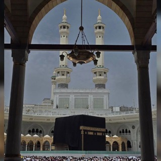 Telegram profile photo for مُـزْدَهِـرُ 🌱