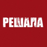 Telegram profile photo for РЕШАЛА