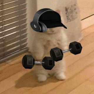 Telegram profile photo for Gym