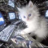 Telegram profile photo for Всё равно