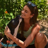 Telegram profile photo for Allmon’s Camp, Animal Aid