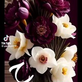 Telegram profile photo for العقاربیع،ایجار،حجوز،شغل فی فندق