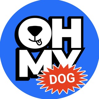 Telegram profile photo for OH MY DOG!