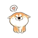 Telegram profile photo for 小杰乐乐园