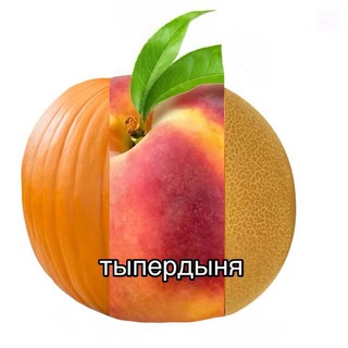 Telegram profile photo for Шиноебланище