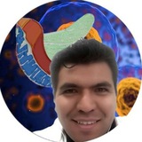 Telegram profile photo for La Mitocondria Voladora