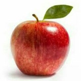 Telegram profile photo for کانال موسسه آموزش زبان جاذبه گیشا