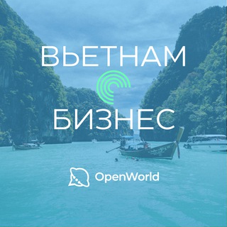 Telegram group profile photo for ВЬЕТНАМ | БИЗНЕС