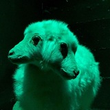Telegram profile photo for Neg’s wishlist.