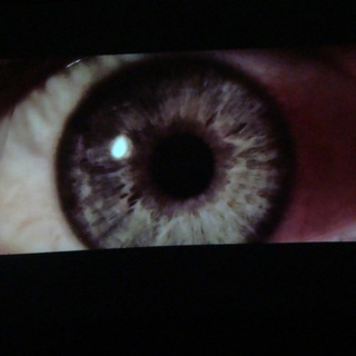 Telegram profile photo for videoeye