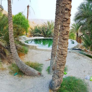 Telegram profile photo for بين الماضي والحاضر
