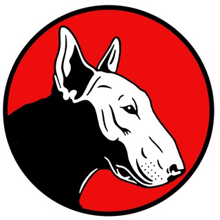 Telegram profile photo for 9mmsmg - Fuck the Tech Oligarchy