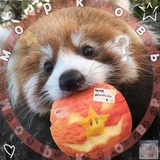 Telegram profile photo for морковка рисуе-🖌️