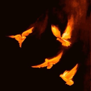 Telegram profile photo for 89