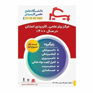 Telegram profile photo for دانشگاه پیگیر | Paygir Uni