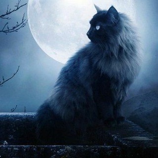 Telegram profile photo for Реальные истории.