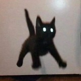 Telegram profile photo for RHOID’S asylum