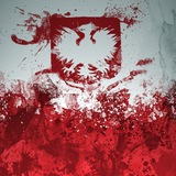Telegram profile photo for MADE IN POLSKA 🇵🇱 INFO🛡