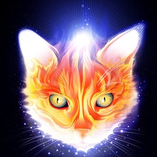 Telegram profile photo for Стас Лео: предложение следует