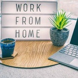 Telegram profile photo for Work From Home 🏠