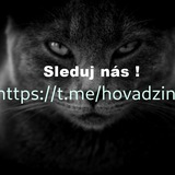 Telegram profile photo for Hovädziny na entú