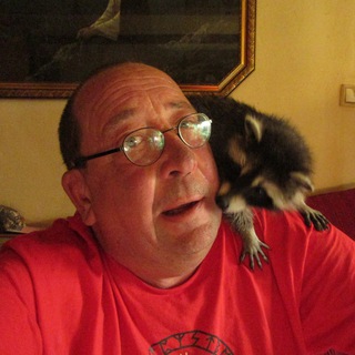 Telegram profile photo for stefan-hoika