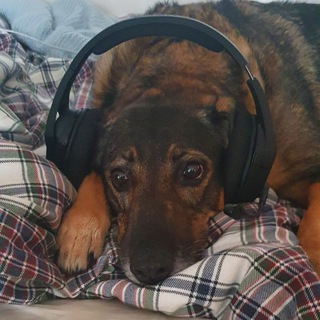 Telegram profile photo for Roentahl | Театр одного актера