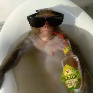 Telegram profile photo for Будни шумахера