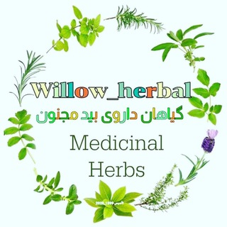Telegram profile photo for 🏃 🏃♂️ 🏃♀️ پیش به سوی سلامتی 🏃 🏃♂️ 🏃♀