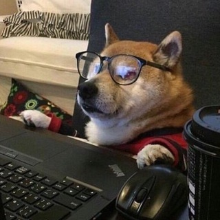 Telegram profile photo for We shall overmeme