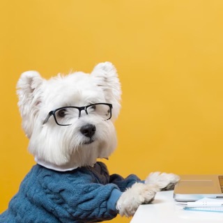 Telegram profile photo for ⚡️ WB на 🍋 OZON ЯМАРКЕТ -70%⚡️
