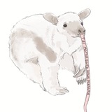 Telegram profile photo for Тут могла быть ваша реклама