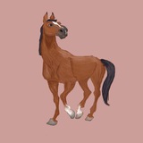 Telegram profile photo for 🤎 Гнедое счастье 🤎