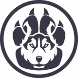 Telegram profile photo for Спасём Хаски | Save Husky