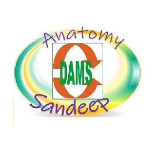 Telegram profile photo for Dr. Sandeep Anatomy(Dams) Channel