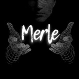 Telegram profile photo for Merle_fx