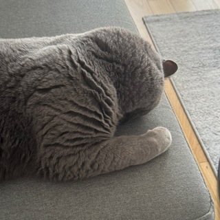 Telegram profile photo for Актуальное неактуально