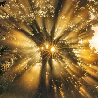 Telegram profile photo for رُواء