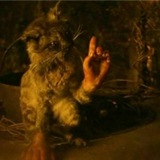 Telegram profile photo for The cat with hands