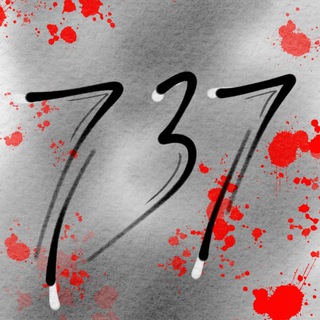 Telegram profile photo for 737 TEAM