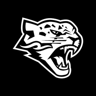 Telegram profile photo for barys_official