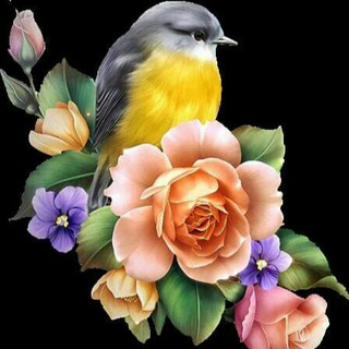 Telegram profile photo for متوسطة المدثر للصف الثاني متوسط