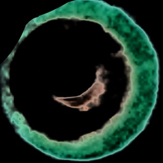 Telegram profile photo for sures.